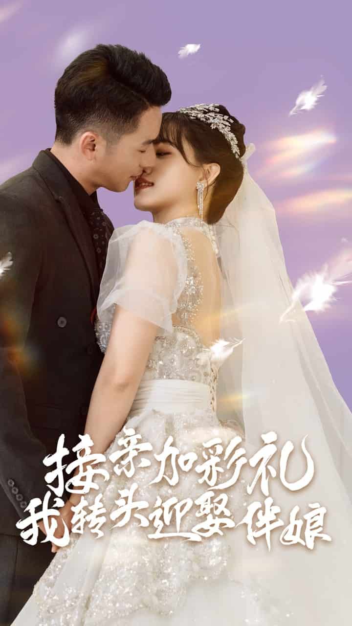 接親加彩禮，我轉(zhuǎn)頭迎娶伴娘(全集)