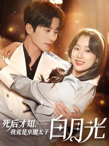 死后才知，我竟是京圈太子白月光(全集)