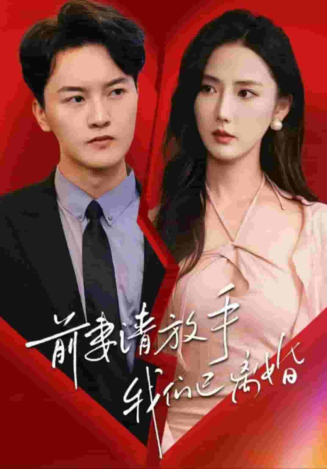 前妻請(qǐng)放手，我們已離婚(全集)