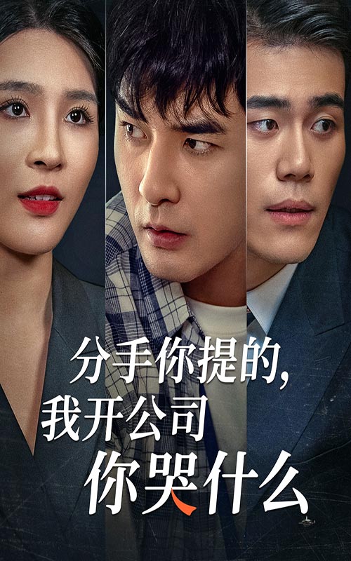 分手你提的，我開公司你哭什么(全集)