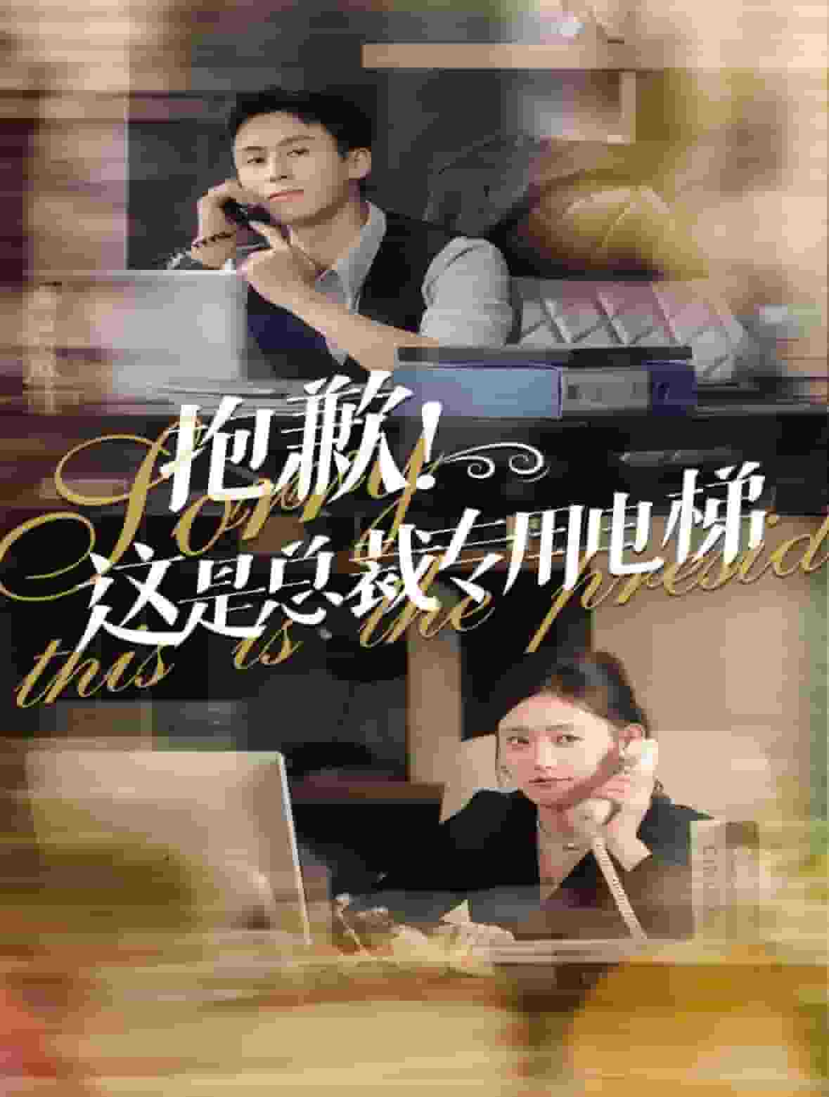 抱歉這是總裁專(zhuān)用電梯(全集)