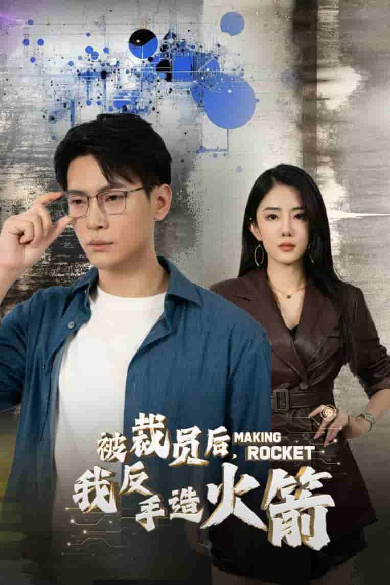 被裁員后，我反手造火箭(全集)