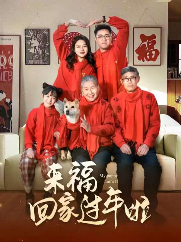 來(lái)?；丶疫^(guò)年啦(全集)