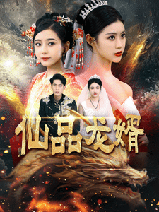 仙品龍婿(全集)