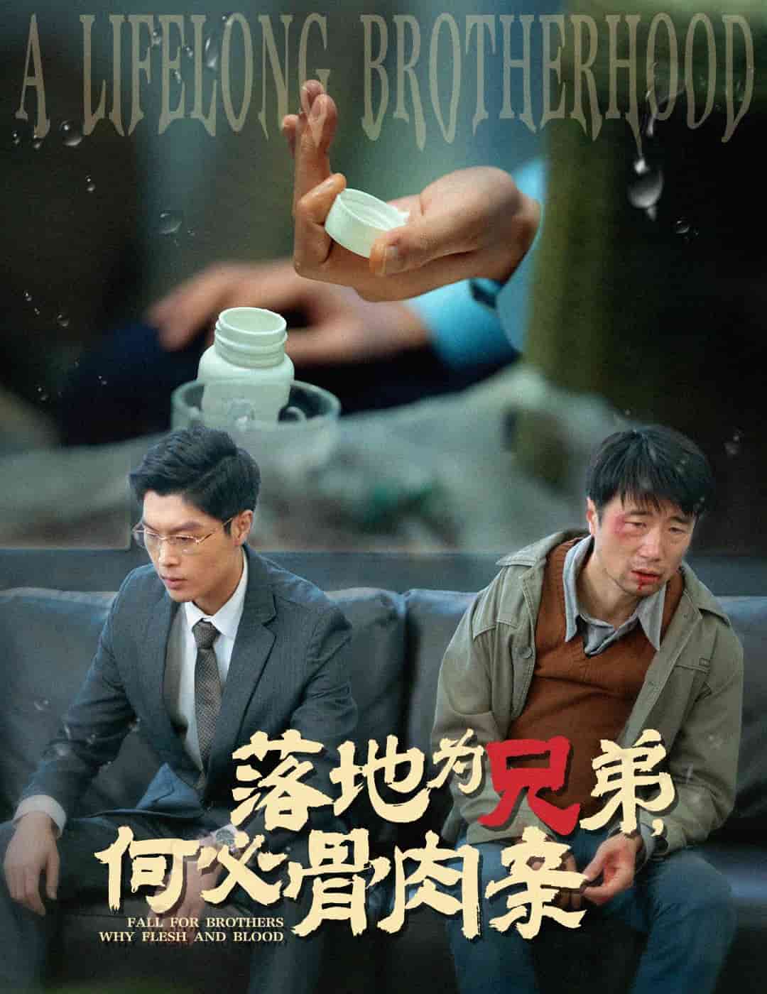 落地為兄弟，何必骨肉親(全集)