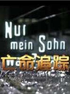 亡命追蹤（國(guó)語版）(全集)
